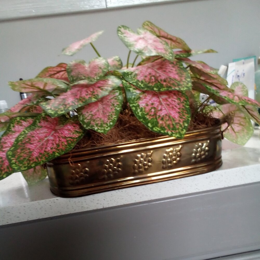 EUC VINTAGE IVY ARRANGEMENTS WITH BRASS CONTAINER